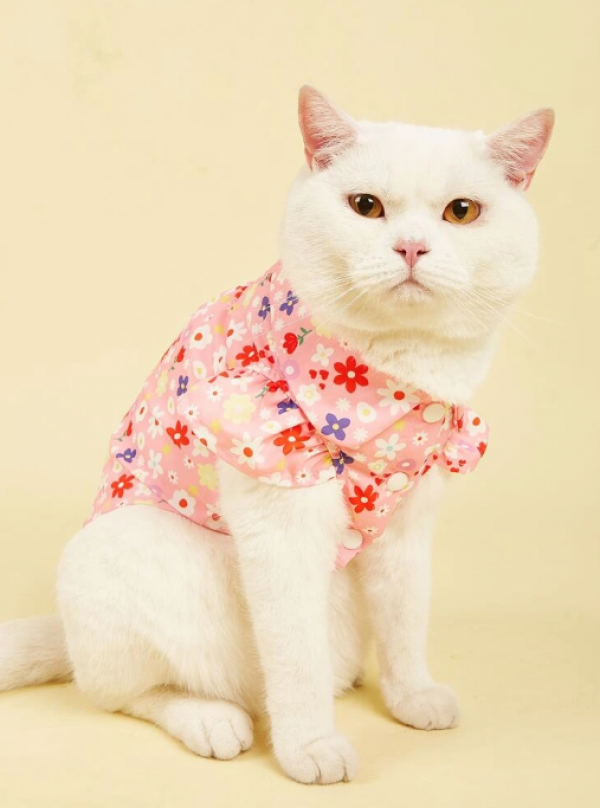 Baju kucing dengan motif bunga